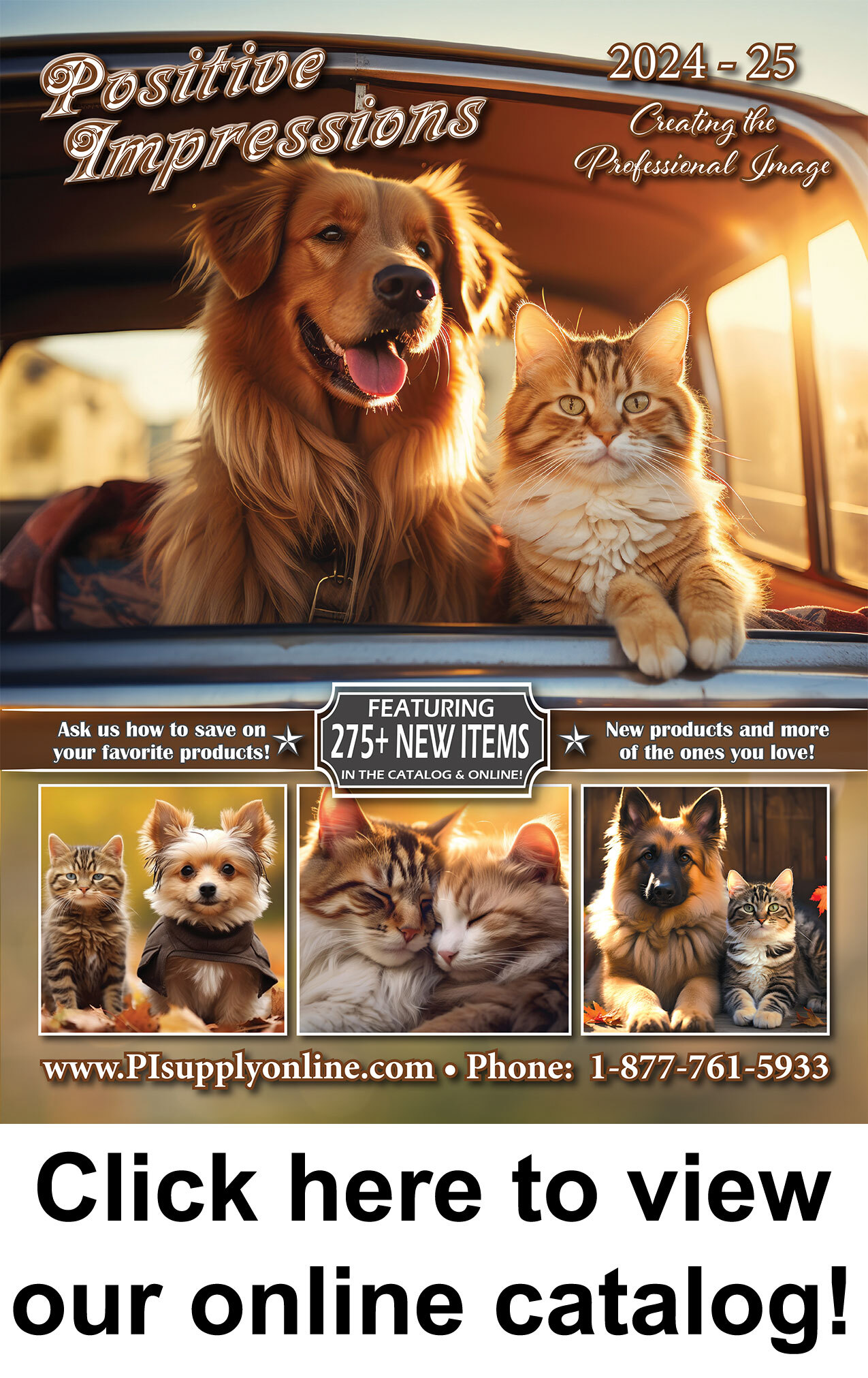 Veterinary Supplies & Products for Veterinarian Clinics