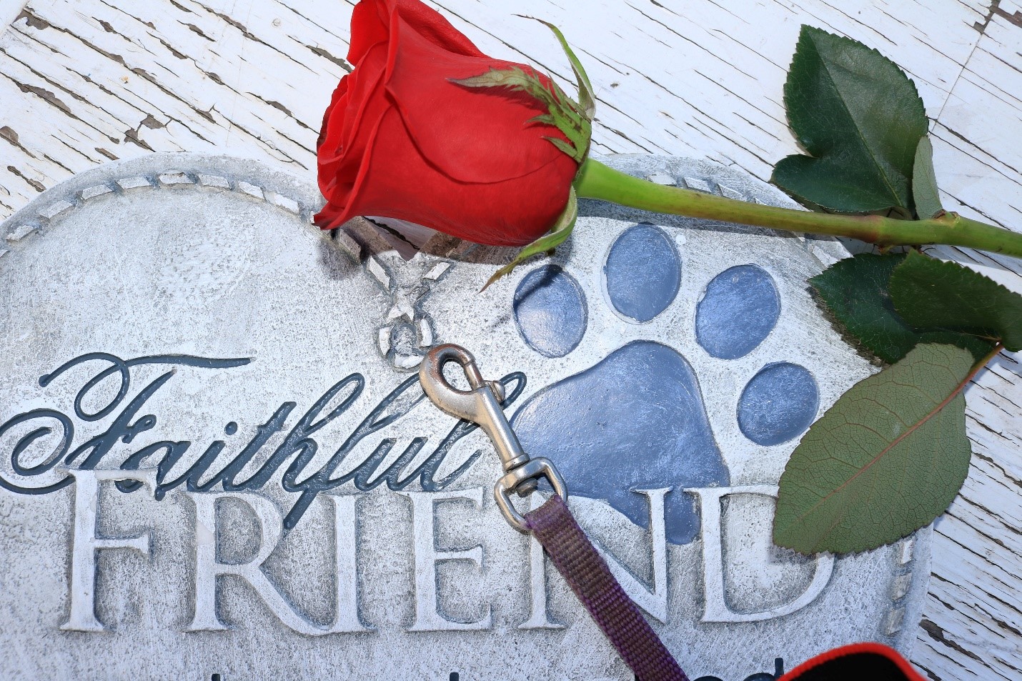 Creating a pet memorial: Incorporating pet cremation jewelry into a 