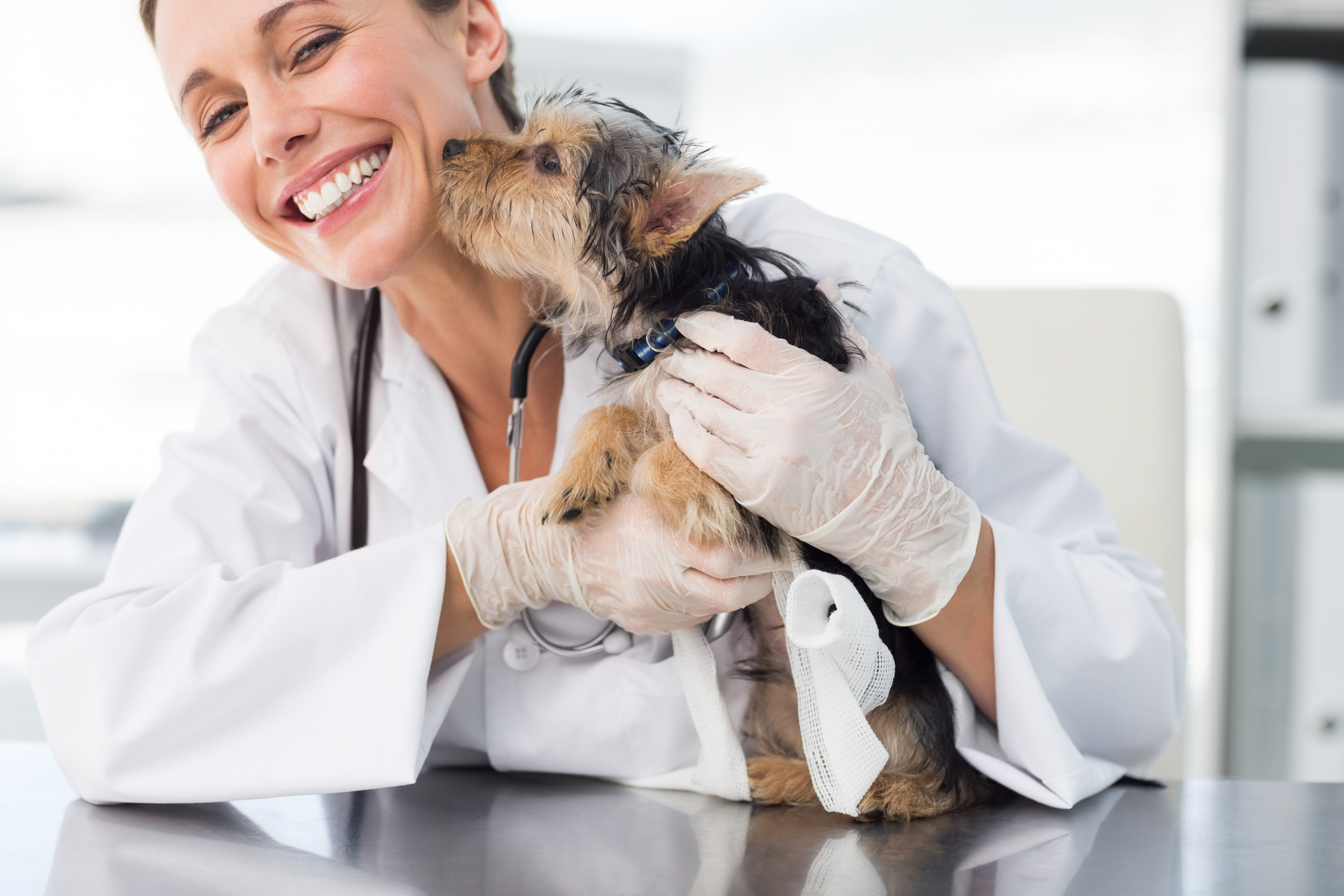 How Much Money Does A Veterinarian Make A Year In California