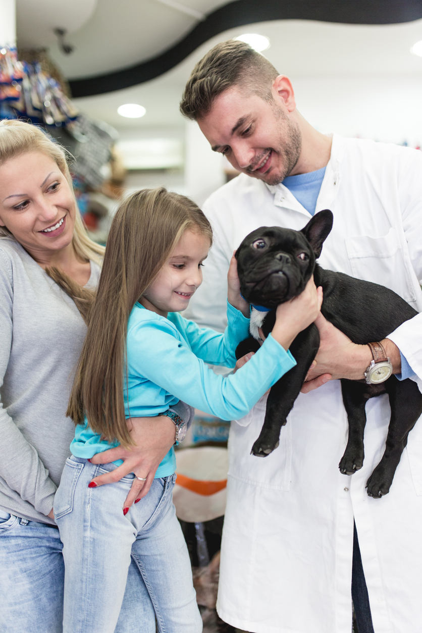Valuable Customer Service Tips for Veterinarians - Positive Impressions